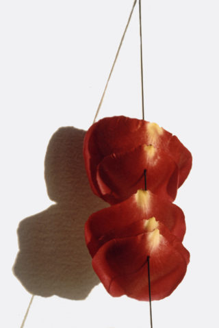 Christiane Chabot, Danse de fleur, 1999