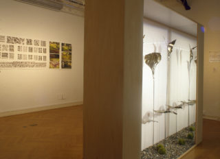 Vue de l'exposition de Christiane Chabot - Variations botaniques