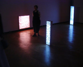 Vue du vernissage de l'exposition de Pauline Choi, Boîtes lumineuses