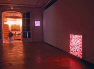 Vue de l'exposition de Pauline Choi, Boîtes lumineuses