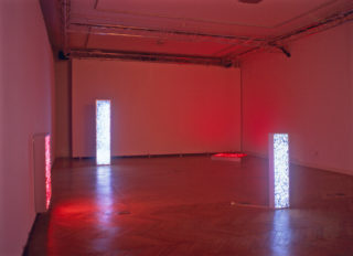Vue de l'exposition de Pauline Choi, Boîtes lumineuses