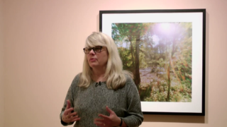 Vidéo sur l'exposition de Dianne Bos - The Sleeping Green