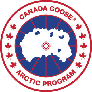 CG_ArcticDisc_CMYK_Logo
