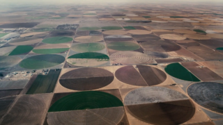 Watermark - Edward Burtynsky - Capture de la vidéo