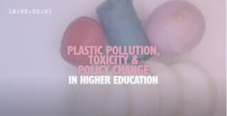 Plastic Pollution, Toxicity, and Policy Change